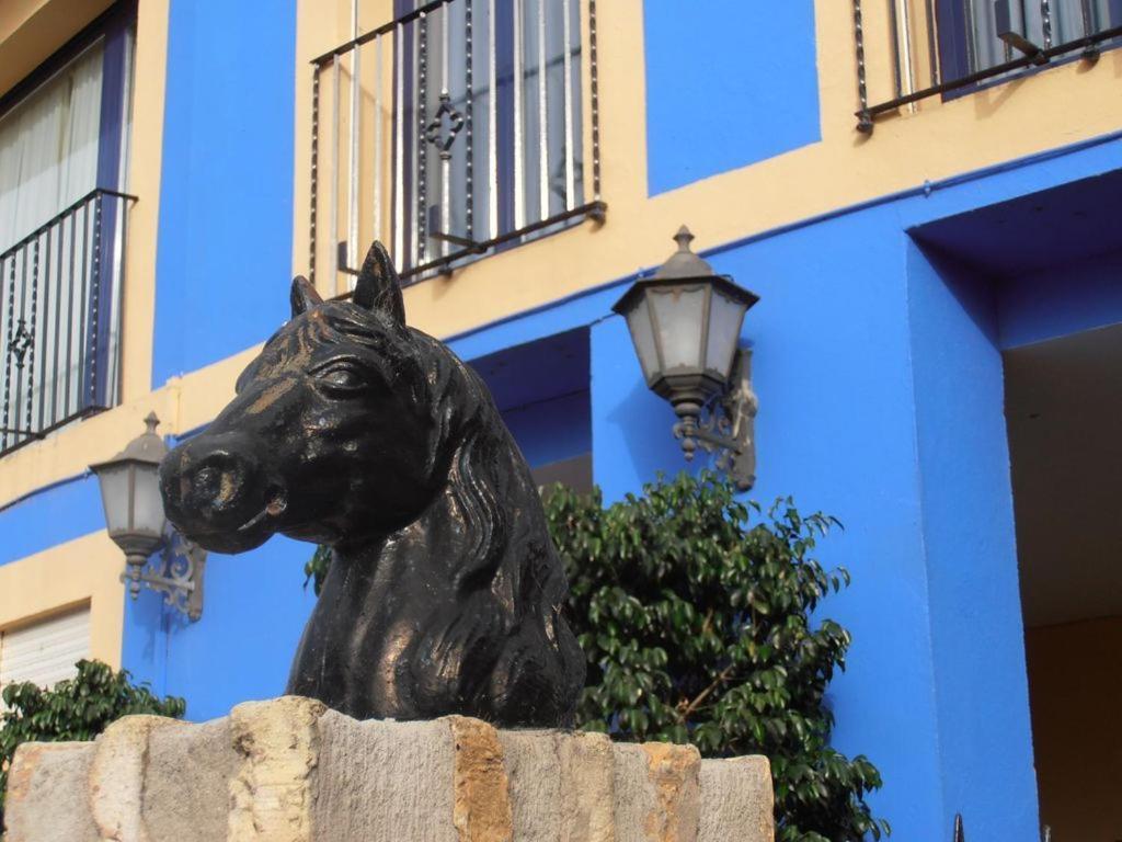 Hotel Caballo Negro Пуэрто-Реаль Экстерьер фото